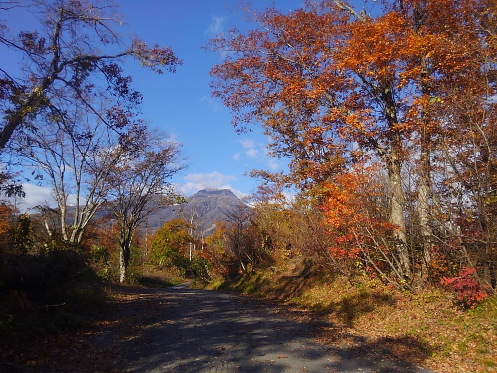 Funky Monkey Lodge, Myoko ファンキーモンキーロッジ 妙高 Exterior foto